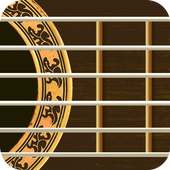 Friend's Guitar