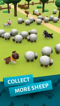 Dog and sheep - farm racing & chasing quest Screen Shot 2