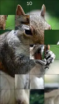 Jigsaw Puzzle Screen Shot 4