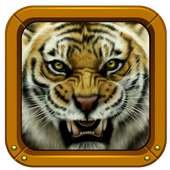 Tiger Photo Puzzles for Kids