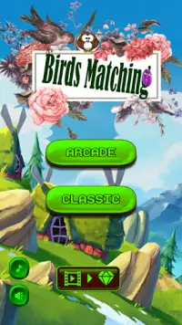 Matching Birds Mania: Jewel Sort Puzzle Screen Shot 1