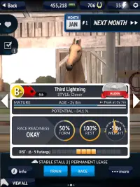 Horse Racing Manager 2020 Screen Shot 11