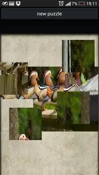 Puzzle birds Screen Shot 0