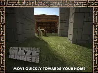 Pony Horse Maze Run Simulator Screen Shot 5