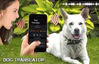 Dog Translator Simulator Screen Shot 2
