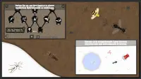 Ameisen Evolution : Insect Life Simulator Screen Shot 2