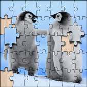 Puzzle Jigsaw Animals