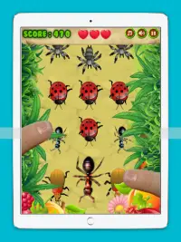 Ant Insect Smasher Screen Shot 8