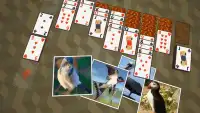 Solitaire Birds Screen Shot 1