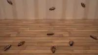 Cockroach Simulator - animal game Screen Shot 6