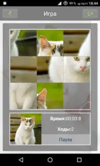 Пазлы коты,кошки (пятнашки) Screen Shot 3