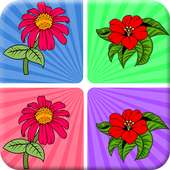 Flowers Matching Games free