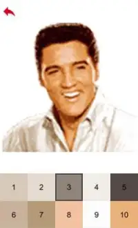 Elvis Presley Color by Number - Pixel Art Game Screen Shot 3