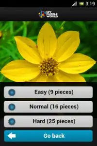 Flowers Puzzle – MPW Screen Shot 6