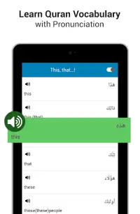 Corano in Italiano - MP3 Quran Screen Shot 11
