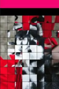 Jigsaw photo Puzzles Screen Shot 4