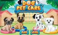 Dog Pet Care Screen Shot 0