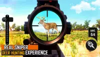 Dino Hunter : Hunting Games 3D Screen Shot 5