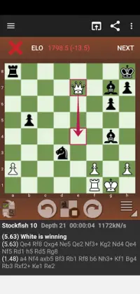 Fun Chess Puzzles Screen Shot 2