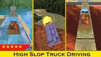 سائق شاحنة البطل - لعبة 3D Screen Shot 11