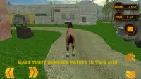 Fury Wild Horse Simulator 3D Screen Shot 2