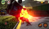 Wolf Dog Simulator Screen Shot 11