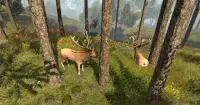 Wild Deer: Bogenschießen Jagdspiele 2019 Screen Shot 2