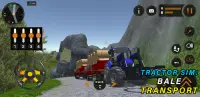 Farm Simulator: Bale Transport Screen Shot 1