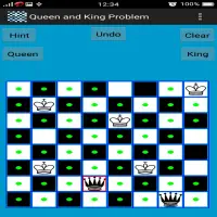 Chess Queen and King Problem Screen Shot 7