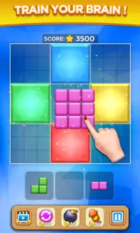 Block Sudoku Puzzle Screen Shot 2