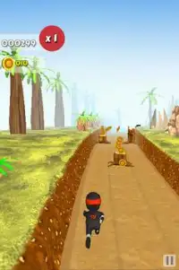 Ninja Run 3D Screen Shot 3