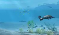 Shark VR sharks games for VR Screen Shot 3