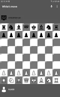 Chess H5: Talk & Voice control Screen Shot 10