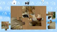 Koty puzzle dla dzieci Screen Shot 2