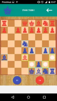 NS Chess Screen Shot 2