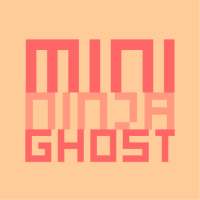 Mini ninja ghost