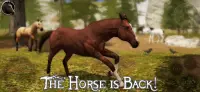 Ultimate Horse Simulator 2 Screen Shot 0
