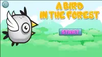 A Bird In The Forest Screen Shot 0