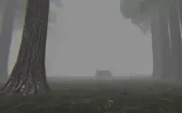 Trapped in the Forest Screen Shot 4