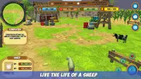 My Sheep Simulator Screen Shot 2
