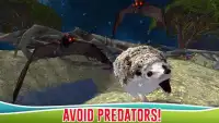 Hedgehog Simulator 3D Screen Shot 2