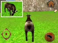 Real Goat Simulator 3D Screen Shot 8