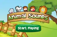 Free Animal Sounds for Kids Screen Shot 3
