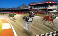 Dog real Racing  Derby Tournament: Dog Race Game Screen Shot 1