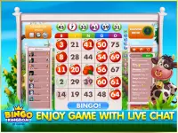 Bingo Kingdom: Best Free Bingo Games Screen Shot 8