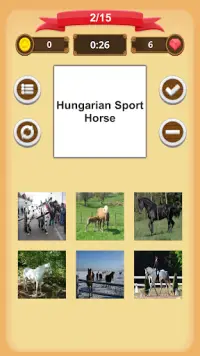 Horse Quiz Screen Shot 5