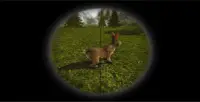 Wild Animal Hunter 3D : Animal Hunting Game 2021 Screen Shot 4