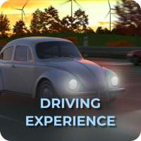 Driving Expirience Simulator