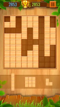 Block Color Wood Puzzle Screen Shot 2