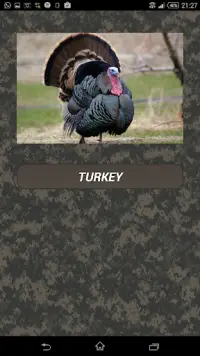Turkey hunting calls Screen Shot 0